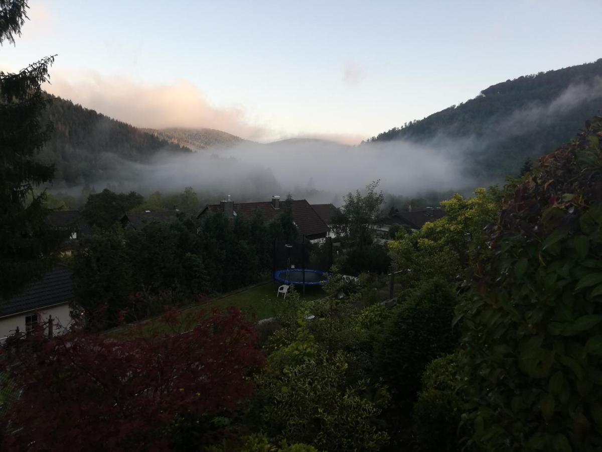 فيلا Hills Hut لانغلسهايم المظهر الخارجي الصورة